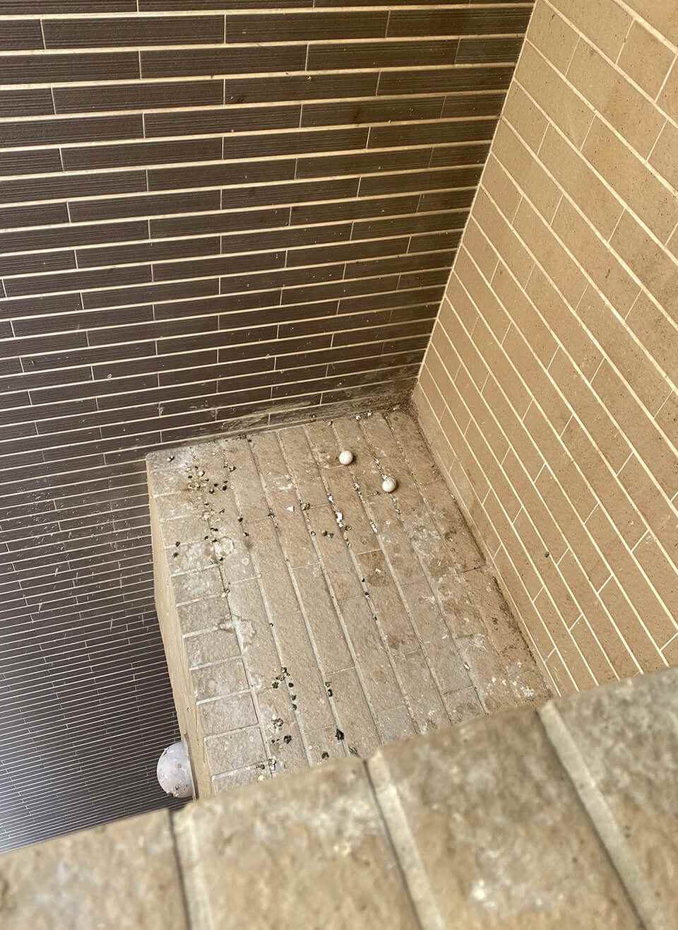 鴿子在建築凸出窗台邊停留築巢