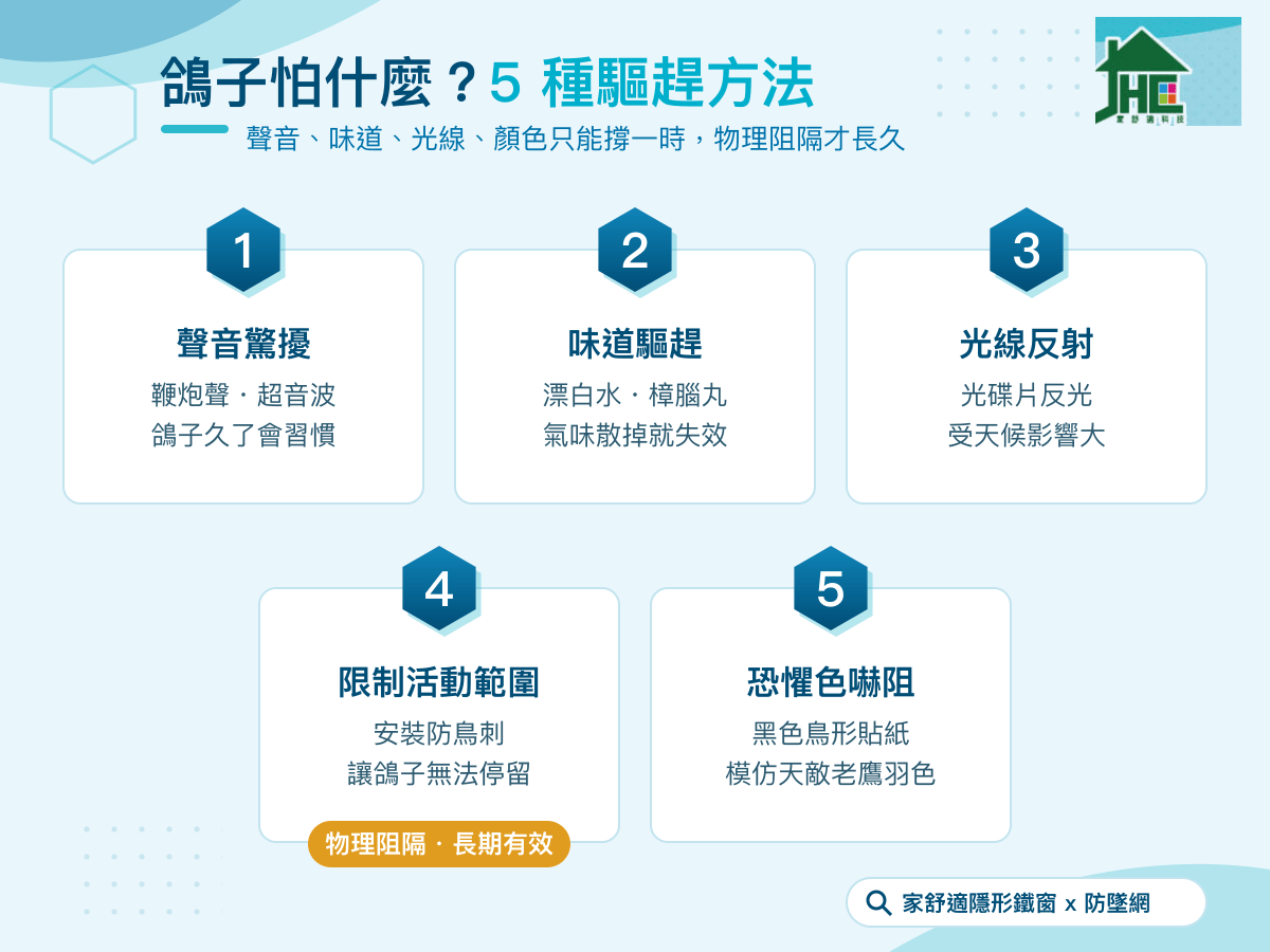 如何趕鴿子？5大驅趕鴿子方法與3種趕鴿子神器實測【2026】 - 家舒適隱形鐵窗